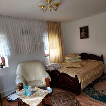Casa Rodica Daire Vatra Dornei Dış mekan fotoğraf