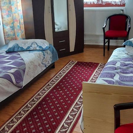 Casa Rodica Daire Vatra Dornei Dış mekan fotoğraf