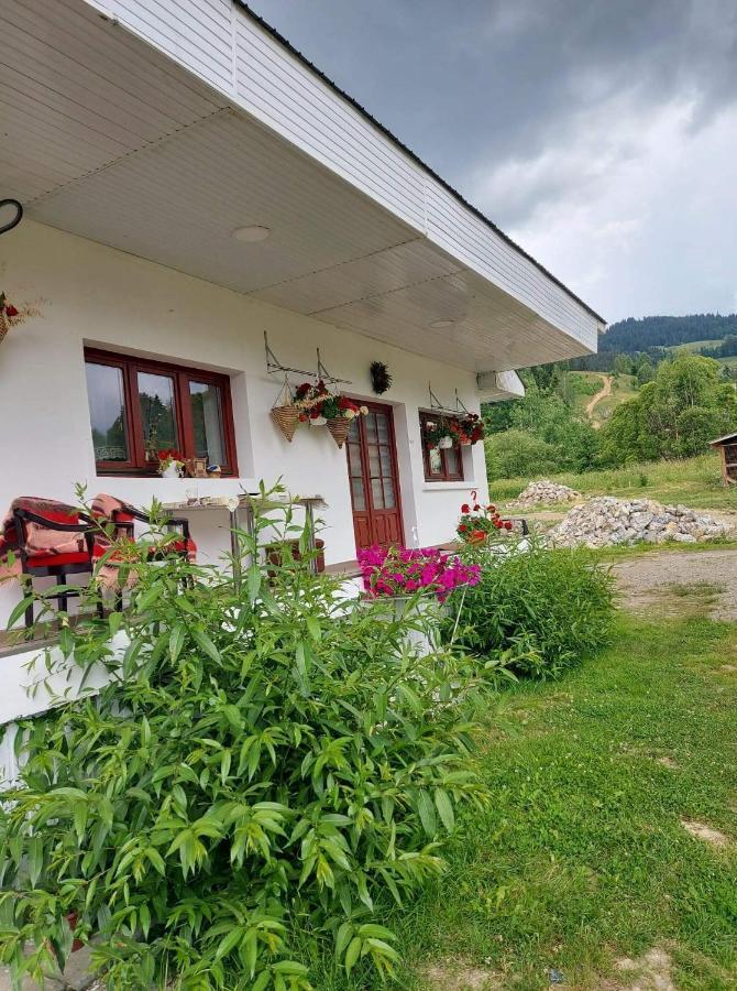 Casa Rodica Daire Vatra Dornei Dış mekan fotoğraf