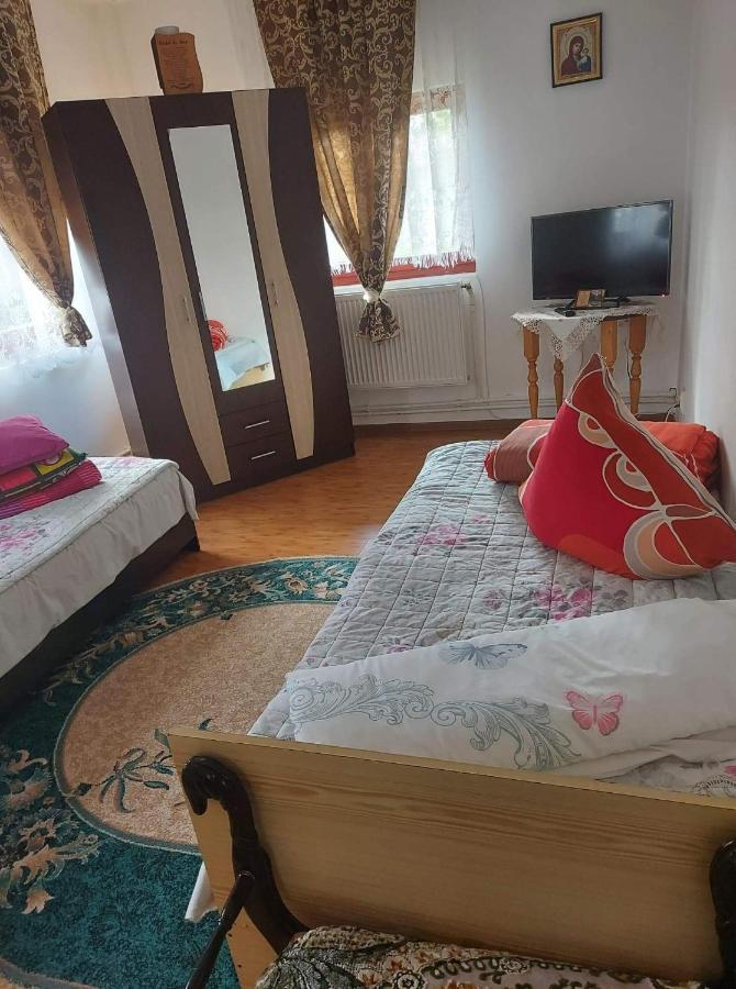 Casa Rodica Daire Vatra Dornei Dış mekan fotoğraf