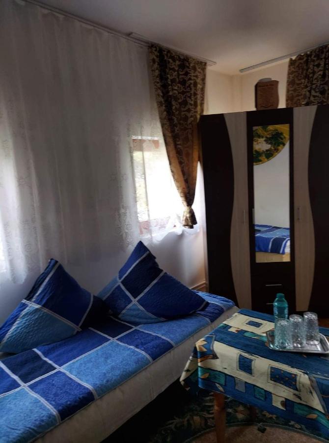 Casa Rodica Daire Vatra Dornei Dış mekan fotoğraf