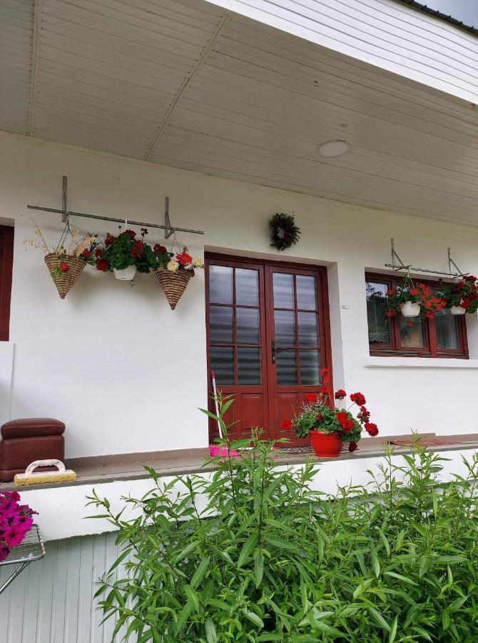 Casa Rodica Daire Vatra Dornei Dış mekan fotoğraf