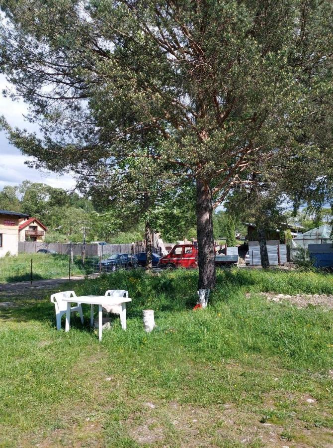 Casa Rodica Daire Vatra Dornei Dış mekan fotoğraf