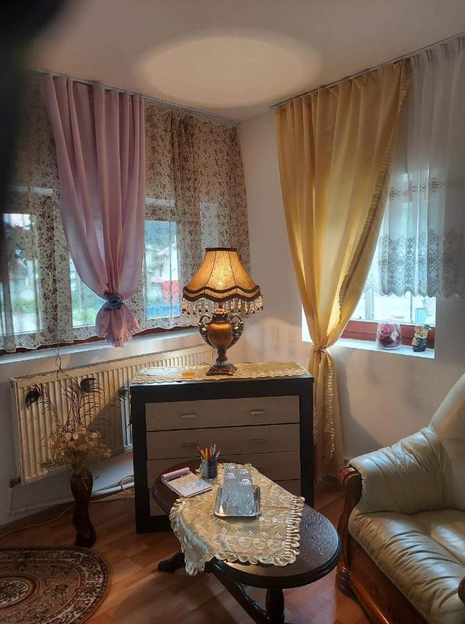 Casa Rodica Daire Vatra Dornei Dış mekan fotoğraf