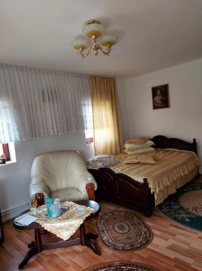Casa Rodica Daire Vatra Dornei Dış mekan fotoğraf
