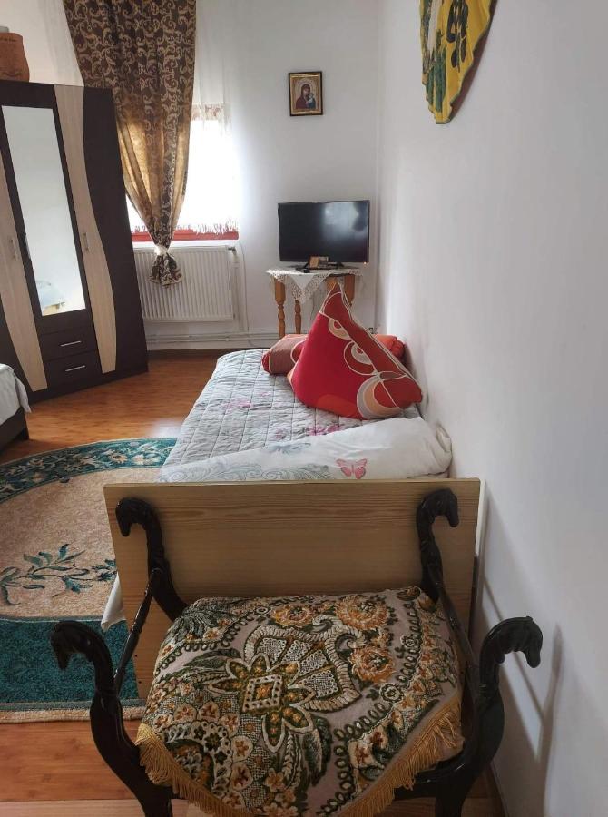 Casa Rodica Daire Vatra Dornei Dış mekan fotoğraf