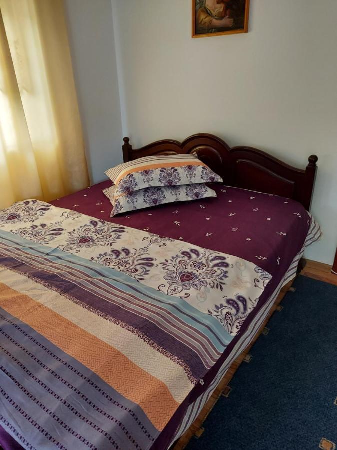 Casa Rodica Daire Vatra Dornei Dış mekan fotoğraf