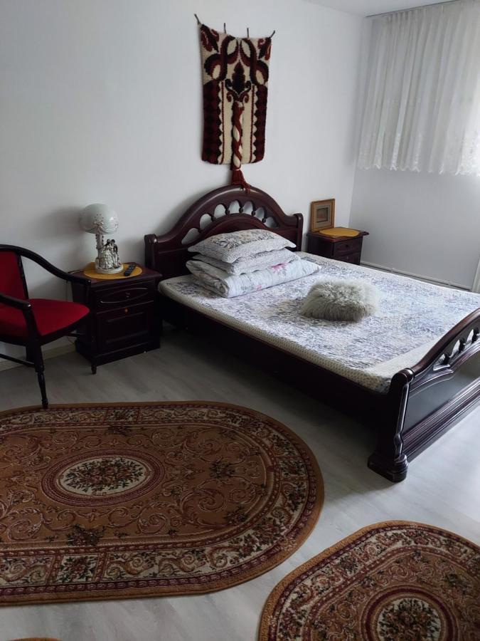 Casa Rodica Daire Vatra Dornei Dış mekan fotoğraf