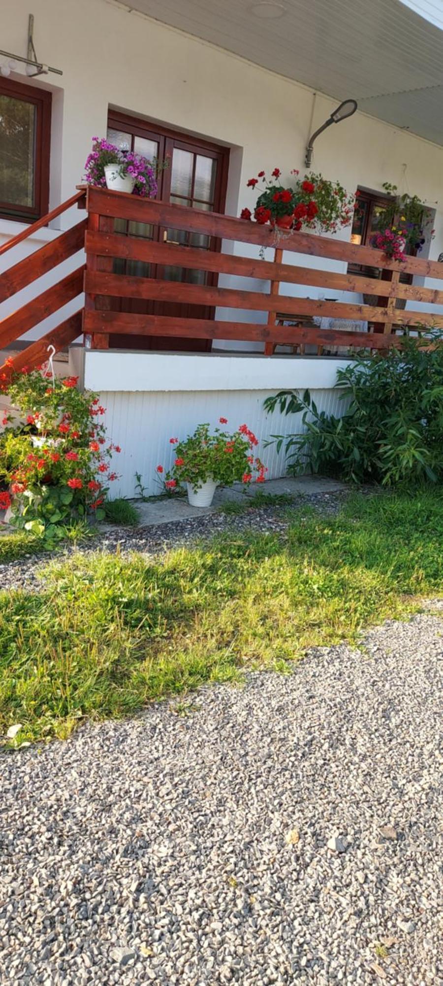 Casa Rodica Daire Vatra Dornei Dış mekan fotoğraf